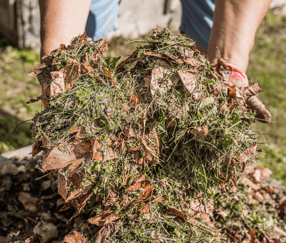 Garden/Green Waste