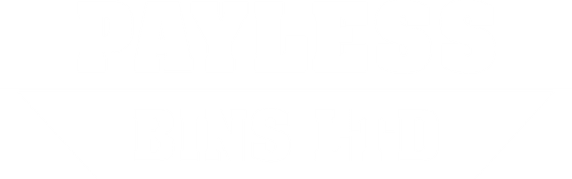 Payless Bins Logo
